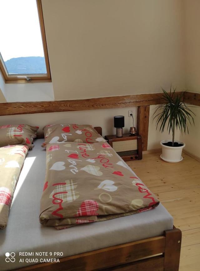 Art-house 4 Attic Decin