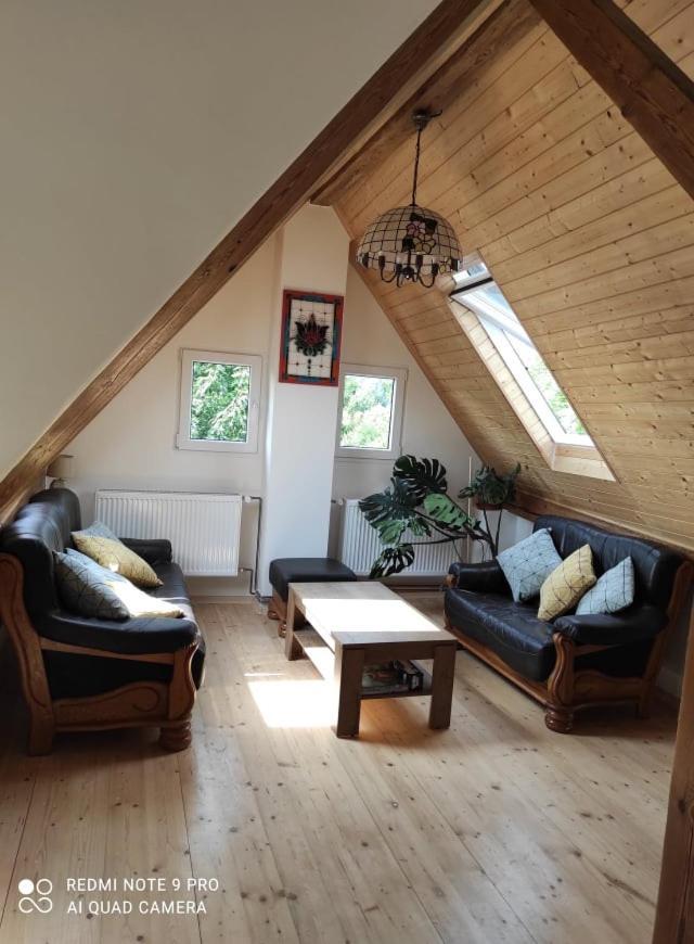 Art-house 4 Attic Apartment